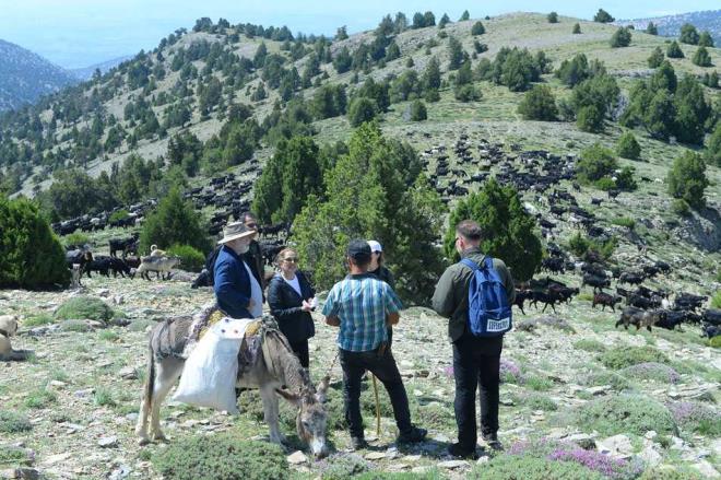 Ziyaretin ailesi ve t�m Y�r�kler i�in anlaml� oldu�unu belirten �akal, "�lk kez bir vali bizim yan�m�za geldi, bizimle kilometrelerce y�r�d�, bir g�n ge�irdi. Y�r�k sofras�nda bizimle yan yana oturdu, �ok mutluyuz." diye konu�tu.