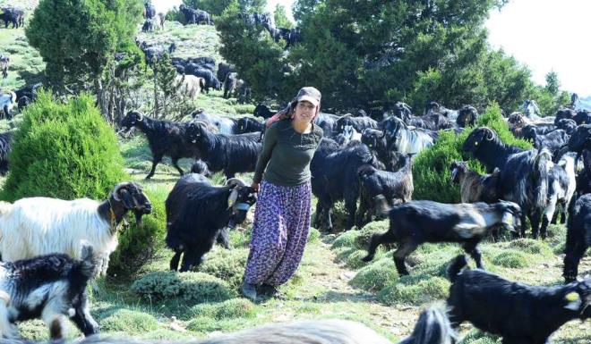 �ki �ocuk annesi Yurdag�l �akal ise yolculu�un son g�n�nde kendilerine e�lik eden Vali Funda Koab�y�k'a te�ekk�r ederek, "�lk kez b�yle bir g�n ya�ad�k. Say�n Valim bizi makam�na davet etti, art�k �unu �ok iyi biliyorum, U�ak'ta bir kap�m�z bir evimiz var." dedi.