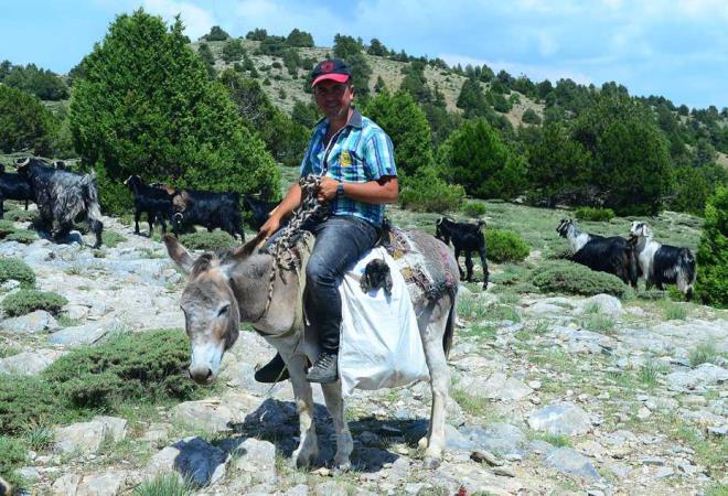 Ailelerin �ok zor �artlarda ya�ad���na dikkati �eken Kocab�y�k, "Karake�ili Y�r�kleri bizim k�lt�r�m�z�n temel unsurlar�ndan, onlara g�� yolculuklar�nda e�lik etmek bir g�n ge�irmek muhte�em bir tecr�beydi. Kad�nl� erkekli, �ocuklu g���yorlar. Bu unsanlar yaz k�� �ad�nda ya��yorlar, �ocuklar�n� do�ada yeti�tiriyorlar. Kendi hallerinde y�rekli vatan sevgisiyle dolu onurlu insanlar." dedi.