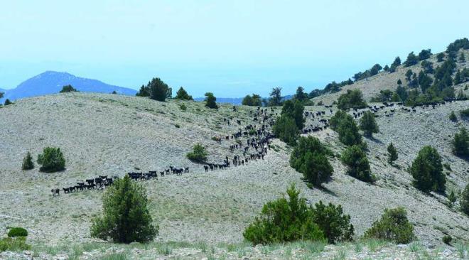 Kendisini kar��layan Y�r�k aileleriyle sohbet eden, onlarla ayn� sofray� payla�an Kocab�y�k, onlar�n sorunlar�n� dinledi.