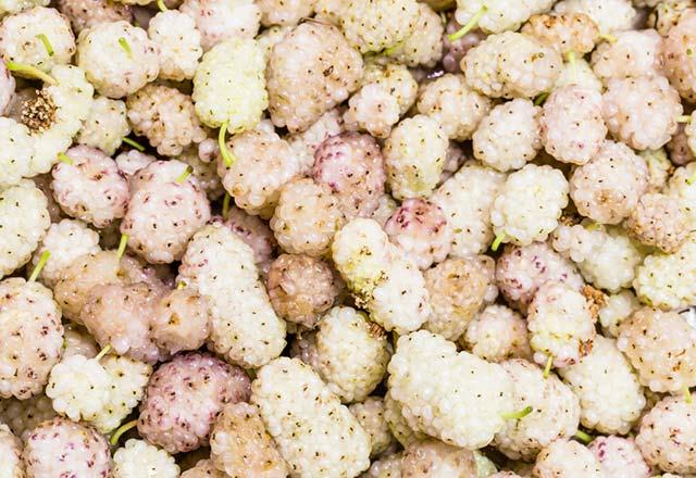 Kanszl nlyor<br>      Dut ierdii demir sayesinde, krmz kan hcrelerinin oluumunu artryor. Krmz kan hcreleri ise doku ve organlarn oksijenlenmesini artrarak, metabolizmann hzlanmasn salyor. Ayrca bu sayede kanszlk ve demir eksikliinin de nlenmesine destek oluyor.