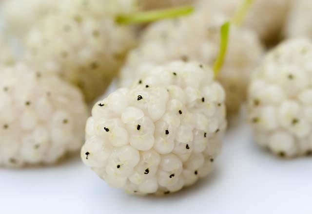 Kan basncn dzenliyor<br>      Dut ierdii resveratrol sayesinde kan damarlarndaki belli mekanizmalarn ileyiini dorudan etkiliyor. Resveratrol, kan damarlarnda daralmay nleyen nitrik oksit salnmn salayarak, kan basncnn drlmesini salyor ve inme, kalp krizi gibi hastalklarn oluumunu nlyor.