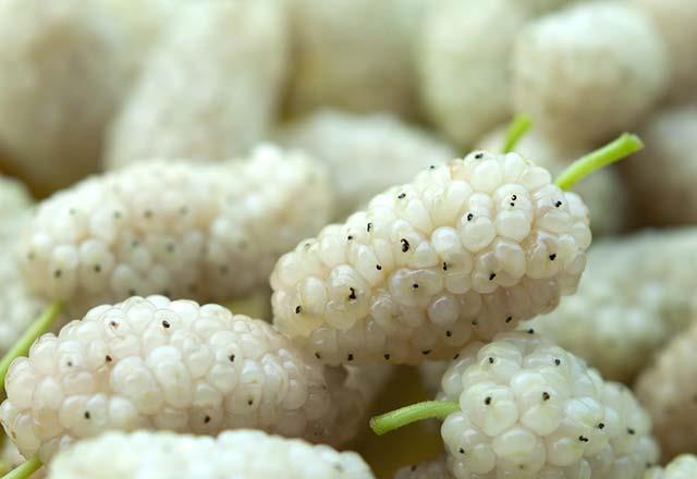 Gz saln koruyor<br>      Beslenme ve Diyet Uzman zge al &#8221;Dutun iinde bulunan zeaksantin, zellikle gzn retina ksmnda oluabilecek oksidatif strese kar koruyucu olmakla beraber, katarakt gibi hastalklara kar da koruyucudur&#8221; diyor.