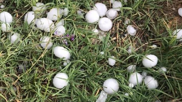 leye bal Bezirhane mahallesinde etkili olan dolu ya yaam olumsuz etkiledi. Ceviz byklndeki dolu taneleri tarm arazilerine de zarar verdi.