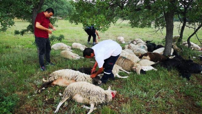 Eskiehir&#8217;de birka gndr devam eden saanak ya hayat olumsuz etkiledi. Kent merkezinin yan sra ilelerde de etkili olan yamur, sel ve taknlara neden oldu.