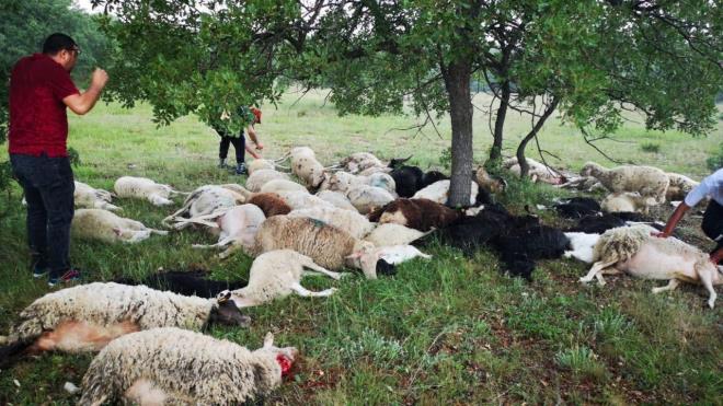 Bu esnada kkba hayvanlarn krsalda otlatan Mustafa Fun, yamurdan etkilenmemek iin blgede bir yere snd.