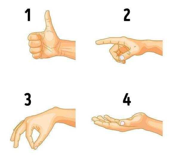 Numaral resimlerden hangisi dierlerinden farkl?