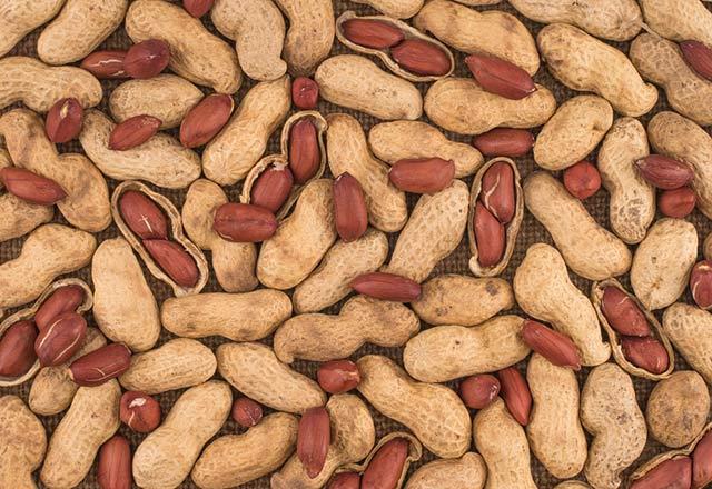 Yer fst besin alerjilerine bal lmlerin banda yer fsta alerjisi olanlardan kaynaklanyor. Time'n haberine gre 1997 ile 2002 yllar arasnda, ocuklarda, yer fst alerjisinin grlme skl iki katna kt.