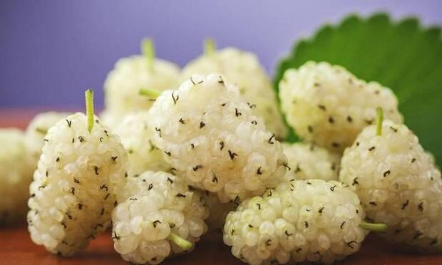 100 gramnda 8.1 orannda karbonhidrat, 1.3 gram protein, 1.5 gram lif ieren dutun ierisinde 260 mg orannda potasyum bulunur ve yaklak 44 kaloridir. Protein ierii dier meyvelere kyasla daha fazla olan dut yaz meyvelerini vazgeilmezlerindendir. Krmz ve kara dutun az ierisindeki yaralara fayda salad bilinmektedir. Doal antibiyotiktir. Lifli bir meyve olmas sayesinde sindirim sistemi rahatszlklarna iyi gelir. Ayn zamanda dutun yapsnda bulunan bulunan flavonoidler kalp salnn korunmasnda da fayda salar.