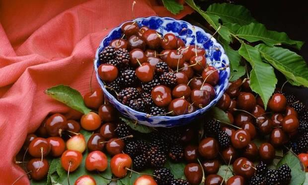 100 gram 65 kalori, 22.9 gram karbonhidrat, 1 gram kadar protein ieren kiraz 2.1 gram kadar lif ierii sayesinde kabzlk problemi yaayan bireylerin kurtarcs olur. Tansiyonun dzenlenmesinde olduka etkilidir stelik idrar sktrc ilev grr. Vcuttaki demin atlmasna destek salarken kalp ve damar hastalklarna kar koruyucu etkisi vardr. eriindeki melatonin etken maddesi sayesinde vcudu gevetip rahat bir uyku dzenine gei salar. rik asit ve rat kristallerinin vcuttan atlmasna destek salar. eriindeki betakaroten sayesinde kanserden koruyucu etkisi vardr.