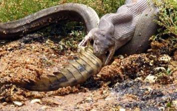 Avustralya'da Martin Mueller isimli kiinin tarafnda sosyal medya hesabnda paylalan fotoraflar byk ilgi ekti.