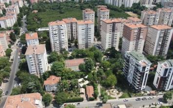 KADIKY'de trtllar parklarda aalar sard. Trtllar baz binalarn cephelerinde de grlmeye balad. Kadky Belediyesi yetkilileri, trtllarn stanbul'un Anadolu Yakas'nda birok yerde grldn belirterek biyolojik mcadele balatldn sylediler.