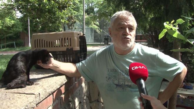 <b>    nsanlarn panik olmasna gerek yok:</b> Tek etki ettii ey, bu canlnn trtl. unu belirtmek lazm. Bu canlnn insan zerinde hibir zarar yok. Bitki zerine de dorudan bir zarar yok. nsanlarn panik olmasna gerek yok. Biz konuyla ilgili belediye olarak  vatandalarmza elimizden geldiince ar merkezimize kayt brakmalar halinde en ge 3 i gn iinde kendilerine ulayoruz. Alanlarda gerekli uygulamalar yapyoruz. Bu konuda vatandalarmzla biz ortak bir mcadele yrtmeye alyoruz. Bunun stanbul'un Anadolu Yakas'nda bulunan dier belediyelerle de yaplmas gerekiyor. Kimyasal uygulanmas doru bir yntem deil.