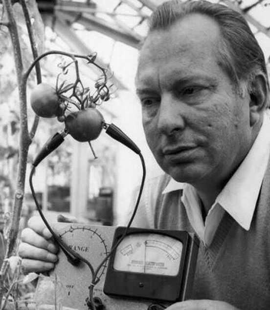 ABD&#8217;li bir mucit meyve ve sebzelerin ac ekip ekmediini lmek iin bu aleti icat etti.