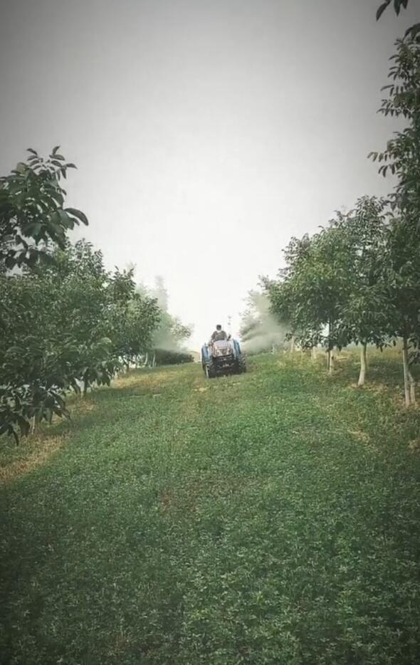 Burak Hakk, tarlasn sularken ekilen fotoraflar Instagram'da takipileri ile paylat.
