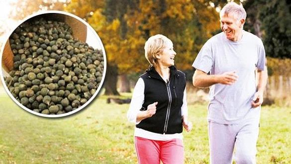 eriinde bulunan B, C, ve K vitaminleri bakmndan olduka zengin olan bamya tohumu, diyabetten kolesterole, astmdan kolon kanserine kadar onlarca hastala iyi geliyor.