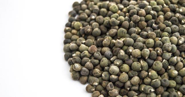 Sindirime yardmc<br>    Bamya tohumunun yksek miktarda lif iermesi zellikle sindirim sistemi iin ok faydaldr. Bamya, liflerin yardmyla barsak hareketlerini artrr ve kilo vermeden kolon kanserine yakalanma riskini azaltmaya kadar birok fayda salar.  <br>    Kilo vermenizi kolaylatrr<br>    Bamya tohumunun zayflamaya etkisi fazladr. Lifli olmas sebebiyle uzun sre tok tutar, sindirime yardmc olur. Barsaklar temizleyerek bylelikle kolaylkla zayflayabilirsiniz.