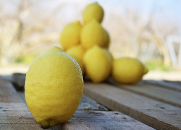 Enerjinizin artmasn ve pozitif olmanz salar: Sabahlar erkenden uyanmak, birok insann ok zorland bir ey. Ancak komodin zerindeki bu dilimler uyanma srecinizi daha az acl bir hale getirecek. Limon kokusu beyninizin serotonin seviyelerini artrr.