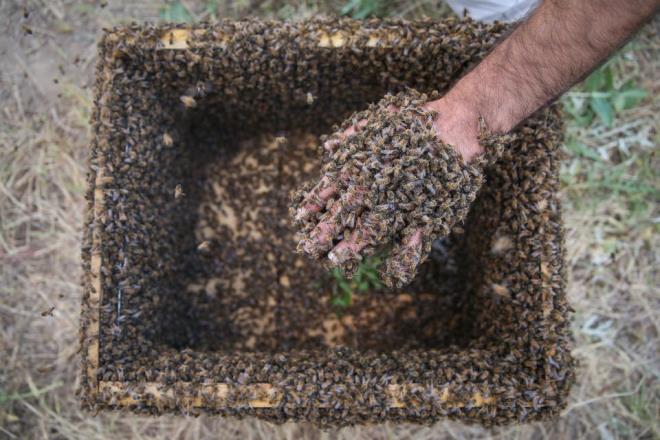 Geen denemelerinin ardndan kendisine "Ar Adam" adnn takldn anlatan Semo, rekoru krana kadar almalarn srdreceini ifade etti.