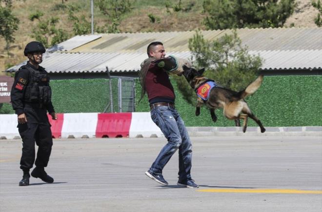 Program kapsamnda toplumsal eylem yapan bir gruba jandarma kuvvetinin mdahalesi canlandrld.