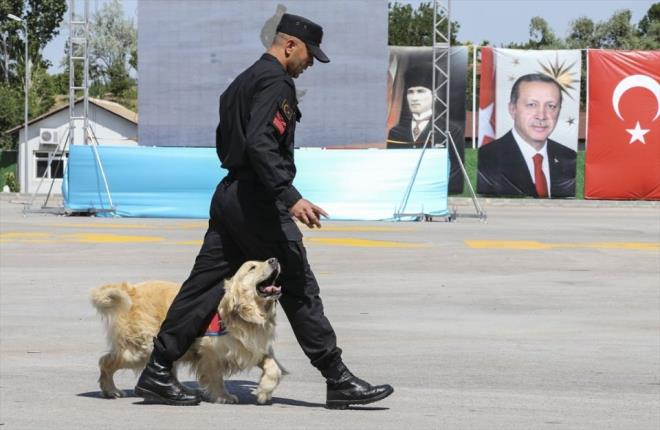 Aratan yaplan saldrya kpekli timin mdahalesi ise izleyenlerin beenisini toplad.