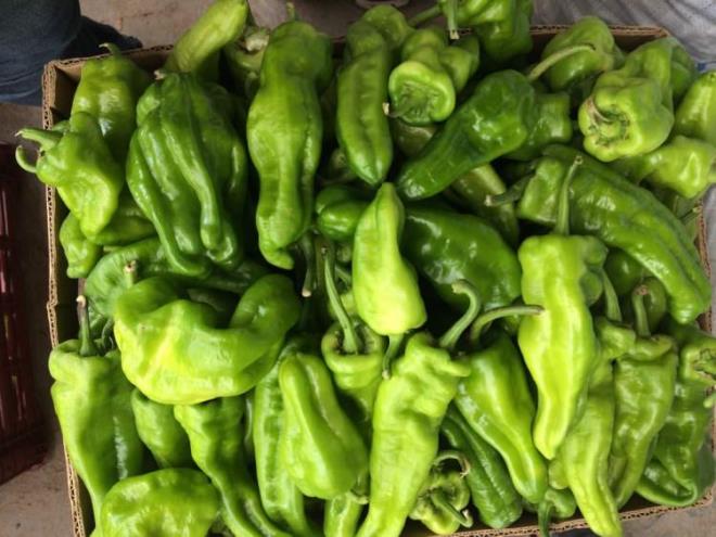 BBER     Yaplan aratrmadalrda ac biber kahvaltlarda tketildiinde gn boyu tok tuttuu ortaya karlmtr. Ancak dier besinlerin enden olduu gibi uzun sre tokluk hissi vcuda yeterli miktarda vitamin ve mineral alma isteini de azaltr