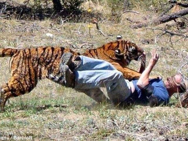 Miller, kaplann bir anda hrnlamasyla zor anlar yaad.