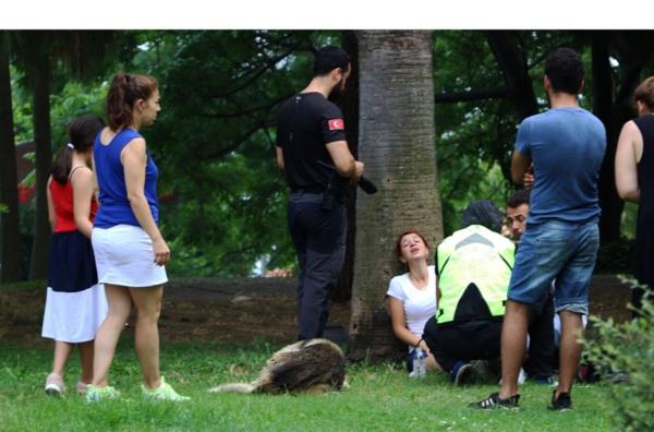 Garsonluk yapan 26 yandaki Glcihan Utu, park iindeki bir bankta oturup arkadan beklemeye balad.