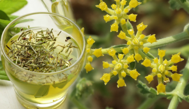 ok gl bir kokuya sahip olan rtk otu, yemeklerde sk sk baharat olarak kullanlr. Ya da kartlarak kullanlan tarhana otu solunum yolu hastalklarna olduka fayda salar. Peki tarhana (rtk) otunun faydalar nelerdir? rtk otu hangi hastalklara iyi gelir? Sizler iin tam bir ifa kayna olan rtk otu hakknda merak edilenleri aratrdk. Haberin detaynda rtk otuna dair her eyi bulabilirsiniz.