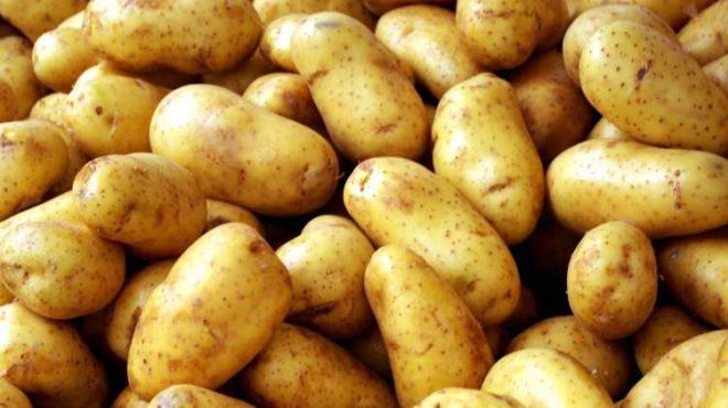 PATATES    Son yaplan aratrmalarda patates topraktan alnmasna ramen filizlenmeye devam eder. Bu filizlenme pek salkl sonulara yol amaz. Zehir etkisi veren bu filizlenmeler nemli ve souk ortaamda oalr. Bu yzden uzmanlar patatesinsouk alanda muhafaza edilmemesi konusunda uyarda bulunuyor.