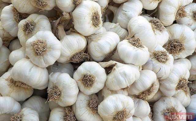 Sarmsan faydalarn elbetteki saymakla bitiremeyiz.  Yzyllar boyunca eitli hastalklarn tedavisinde kullanlan sarmsan faydalar tbben kantlam imdilerde ise alternatif tbbn vazgeilmez kayna olmutur.