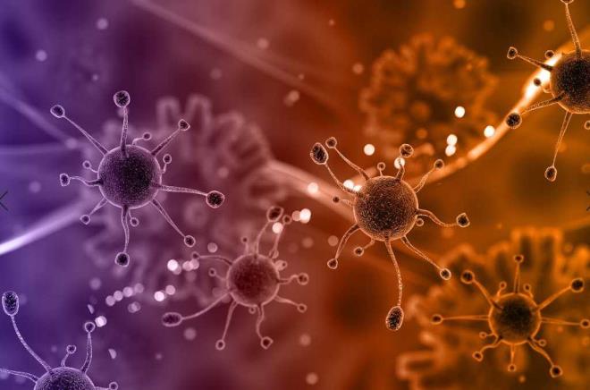 KOLESTEROL SEVYESN DZENLER Kolesterol seviyesini dzenler, damarlarn temizlenmesini salayarak kalp hastalklarndan korur.