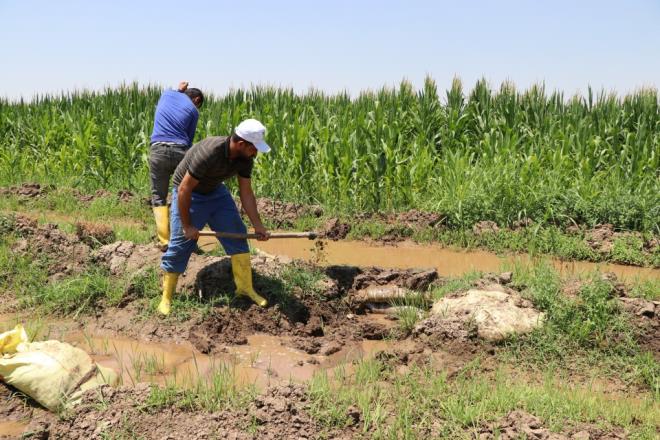 Ayn zamanda gbreden de yzde 50'ye yakn tasarruf salyoruz."