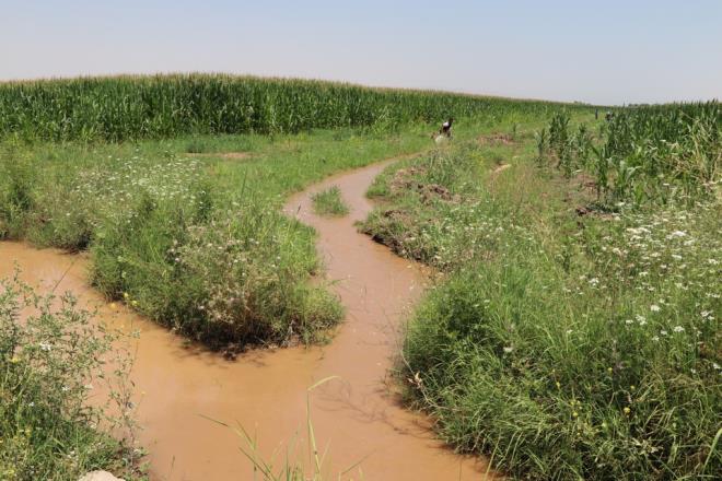 Adeta "amur" akan nehir ve aylardaki bu deiime, vahi sulamann neden olduu, tanan topraklarn etkisiyle suyun renginin deitii belirtiliyor.