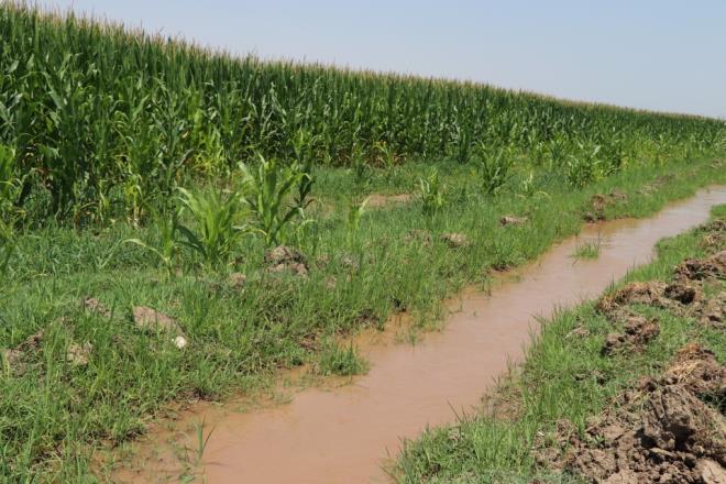 Devlet destei ile kurduu damla sulama sistemi sayesinde suyu tasarruflu kullandn aktaran Tarhan, unlar kaydetti: