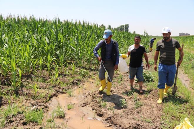 "Bir gram su tarlann dna kmyor. Hem yer alt sularmz tkenmiyor hem de erozyonu nlemi oluyoruz.