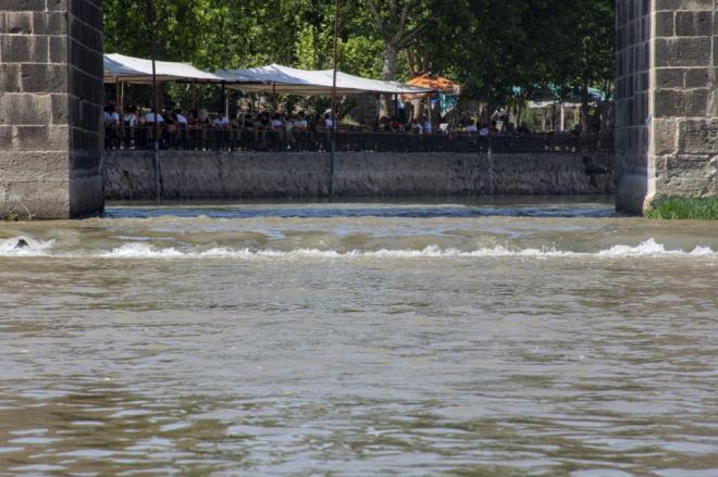 Gelimi lkelerde salma sulama ynteminin ok az yapldna dikkati eken etin, "Ama blgede yzde 80 salma sulama yaplyor." ifadesini kulland.