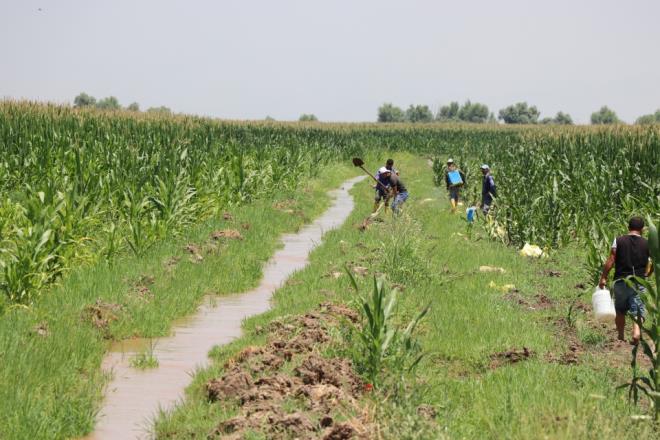 Vahi sulamann tarm arazilerine zarar verdiini dile getiren Tarhan, "Dicle Nehri ile Garzan ve Batman aynda neredeyse su yerine amur akyor. erisinde gbre de olduu iin sudaki canllar lyor." dedi