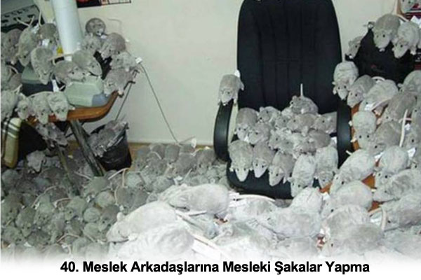 Tedavisi olmayan T�rk hastal�klar�