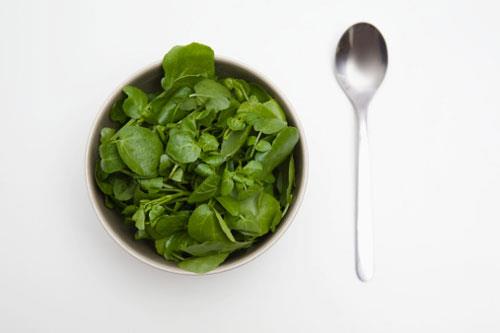 Tere: Terenin vcudunuza olan etkisi sadece bronlarnz temizlemekten ibaret deil. Tereyi kullanarak lezzetlendireceiniz salatalar, ya yakmn da destekler.