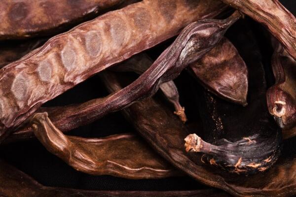 Keiboynuzu ay: 4-5 adet kuru keiboynuzu dalndan yapabileceiniz enfes keiboynuzu ayyla hem vcudunuzu yenileyebilir hem de sigarann vcudunuzda yaratt stresi bir daha hi dnmemek zere silebilirsiniz.