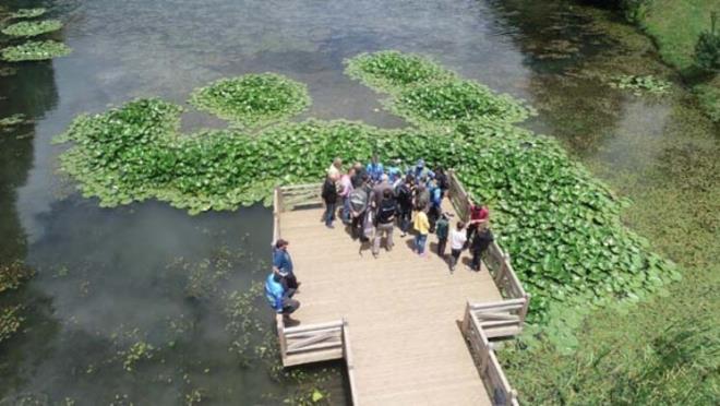 Salkl ve uzun yaamn srlarn anlatan Glkyller, st, yourt, yumurta, turu gibi besinlerle beslendiklerini, organik rnleri tercih ettiklerini sylyor.
