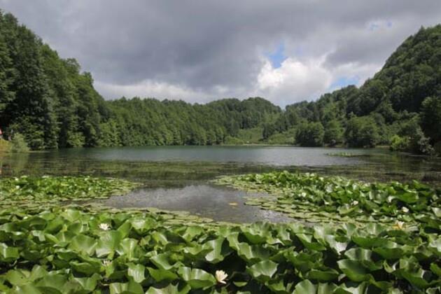 Akdeniz niversitesi Gerontoloji Blm tarafndan karlan 'Trkiye'nin Yalanma Atlas'nda, Ordu'nun Glky ilesi, Trkiyede en uzun mrl ve salkl insanlarn yaad 10 yer arasnda gsterildi.