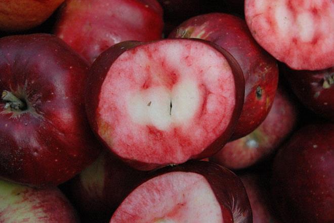 Sadece Ardahan'n Posof ilesinde yetitii bilinen, ii de d gibi krmz renkte olan elma da tescillenenlerden. Ardahan Valisi Mehmet Emin Bilmez, Ardahan&#8217;n iek balndan sonra ikinci rnnn tescillenmesinin mutluluunu yaadklarn ifade etti.