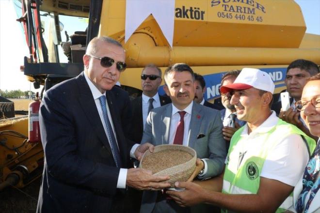 Bakan Recep Tayyip Erdoan, TGEM 69. Geleneksel Hasat Bayram'na katld. Bakan Erdoan, bierdverde buday hasad yapt.