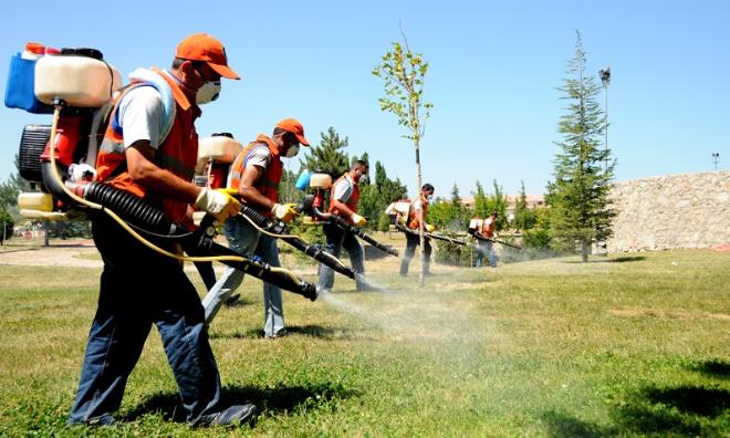 Ku ve at lmlerin fazla olduu durumlarda ilgili salk kurulularna haber verilmeli.