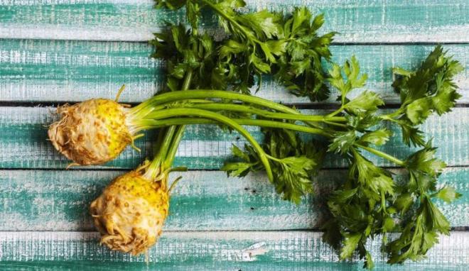 KEREVZ    Vcudun K vitamini ihtiyacn karlar. Ayrca bbrek st bezlerini altrarak idrar sktrc etkisi gsterir.