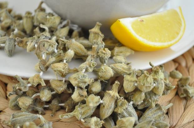 - st solunum yollar hastalna yakalanmamak iinde bamya, tketilmesi gereken besinlerden biridir. Zararl hcrelere kar bakl glendirerek kansere yakalanma riskini azaltr. 200 gram bamyay 30 dakika boyunca kaynatn. Elde ettiiniz bamya suyuna bir di sarmsak ve iki yemek ka limon suyu ekleyerek 15 dakika dinlenmeye braknz. Hafta da bu sudan bir bardak iebilirsiniz.    - Gl antioksidan zellii de vcutta oluan demleri idrar yoluyla kolayca atmaya yardmc olur.