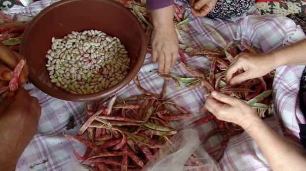 BARBUNYANIN FAYDALARI NELERDR?    - Yaplan aratrmalarda barbunyann kanser hcrelerinin oluumunun engelledii ortaya karlmtr. zellikle kolon kanserinde etkili olan barbunyay uzmanlar ailesinde kanser yks olan kiilerin tketmesi gerektiini vurguluyor.     - Kt kolesterol drerek kalp saln korur. erdii doymam ya asitleri sayesinde zellikle damarlardaki iltihaplanmay sfra indirir. Bylece inme ve kalp krizi gibi ciddi problemlerin yaanma orann azaltr.