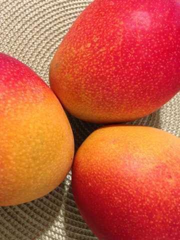 1. HER GN BR MANGO LE TANSYONUNUZU DRN<br>    Gnde yarm mango yemek salnz iin faydaldr. Potasyum ve magnezyum asndan zengin bir meyvedir. Bu iki mineral, tansiyonunuzu dengelemeye yardmc olur. Ayn zamanda, bu harika meyvenin iinde B2, B6, A, C, K vitaminleri ve folik asit bulunur. Tm bunlar, kalp ritminizi dengelemeye ve vcudunuzun her yerine besin ve oksijen ulamasna yardm eder. Ayrca, dengeli bir beslenme program uygulamay da ihmal etmeyin.